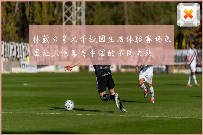 林葳分享大学校园生活体验赛场氛围让人惊喜与中国的不同之处