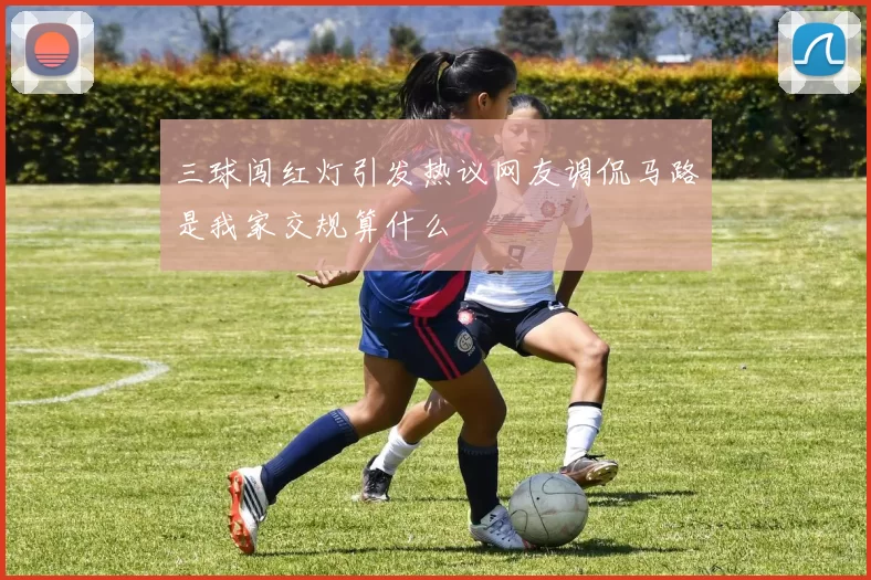 三球闯红灯引发热议网友调侃马路是我家交规算什么